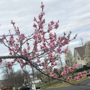 Meet your Posher, Thy